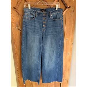 Banana Republic Blue Wide Leg Jeans